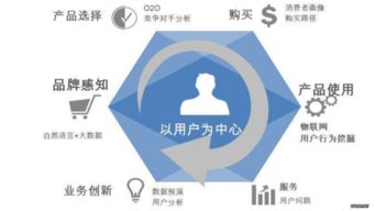 大数据与大数据服务 数字时代的核心引擎